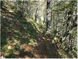 Bohinjsko sedlo - Planina Za Črno goro